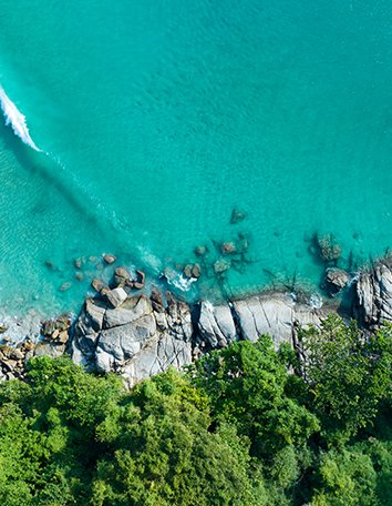 Traditional Japanese Tattoo | Oriental Style Tattoo Phuket